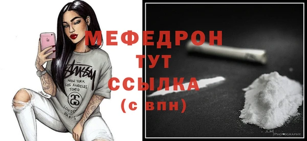 индика Пестово
