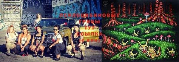 скорость Алексин