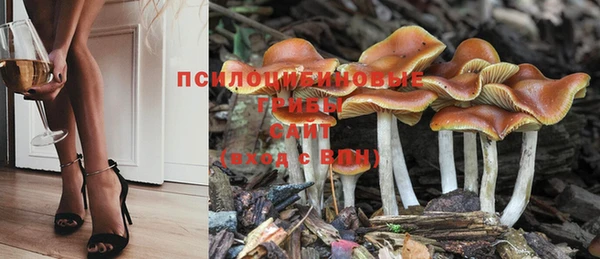 соль курить ск Алексеевка