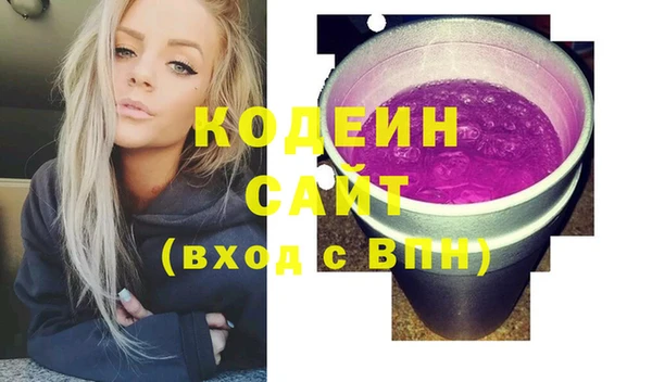 индика Пестово