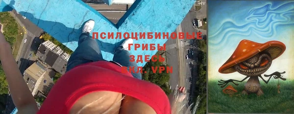 мяу мяу кристалл Переславль-Залесский